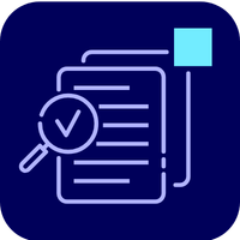Document type validation